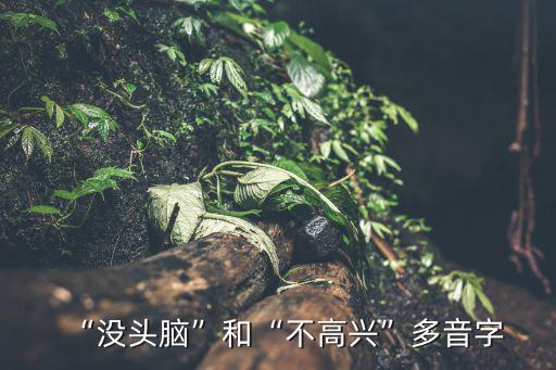 “沒頭腦”和“不高興”多音字