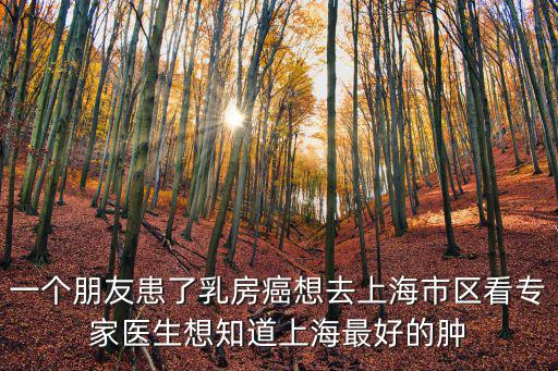 一個朋友患了乳房癌想去上海市區看專家醫生想知道上海最好的腫