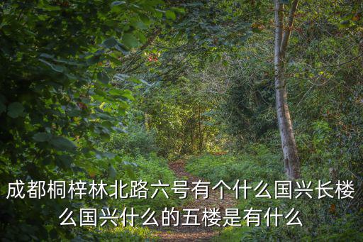 成都桐梓林北路六號有個什么國興長樓么國興什么的五樓是有什么