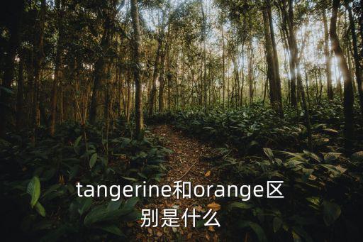 tangerine和orange區別是什么