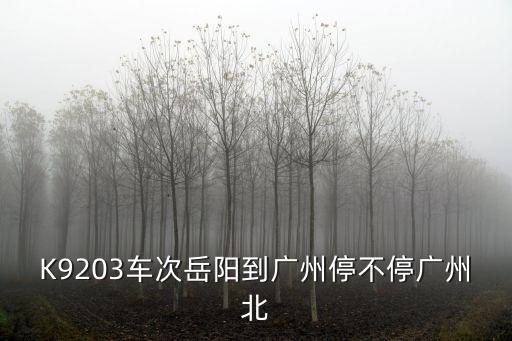 岳陽去廣州的高鐵停了嗎，2月2627號岳陽到廣州的高鐵票還有嗎