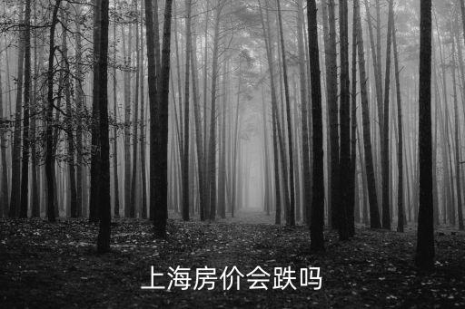 上海房價即將暴跌，上海房價會跌么