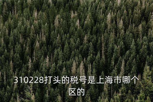 310228打頭的稅號是上海市哪個區(qū)的