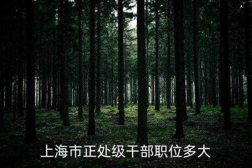 上海市正處級干部職位多大