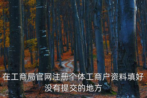 在工商局官網注冊個體工商戶資料填好沒有提交的地方