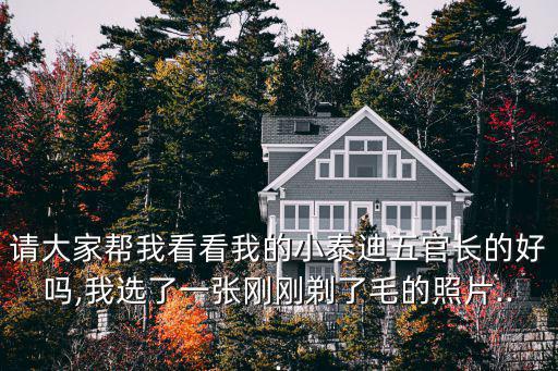 請(qǐng)大家?guī)臀铱纯次业男√┑衔骞匍L(zhǎng)的好嗎,我選了一張剛剛剃了毛的照片...