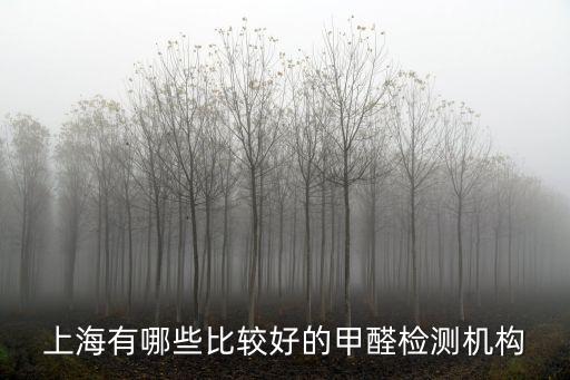 上海有哪些比較好的甲醛檢測機構