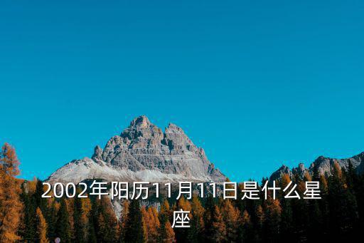 2002年陽歷11月11日是什么星座