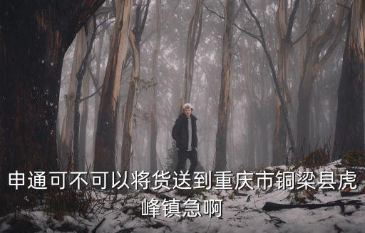 重慶市銅梁區(qū)精鴻益科技，申通可不可以將貨送到重慶市銅梁縣虎峰鎮(zhèn)急啊
