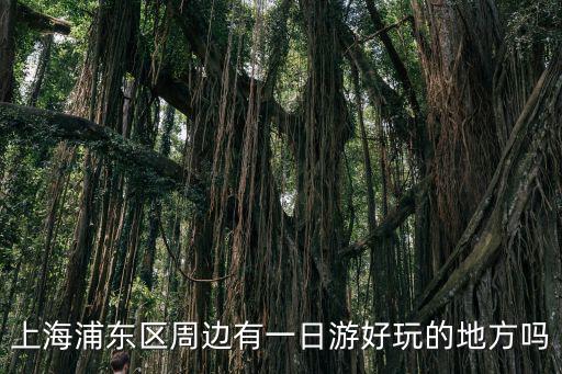 浦東一日游最值得去的地方，上海浦東有哪里比較好玩可以玩一天的