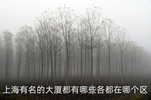 上海有名的大廈都有哪些各都在哪個區
