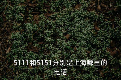 5111和5151分別是上海哪里的電話