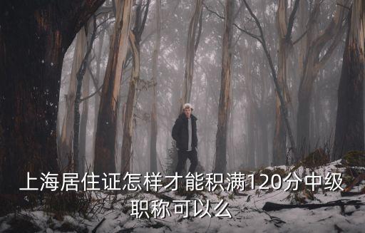 上海居住證怎樣才能積滿120分中級職稱可以么