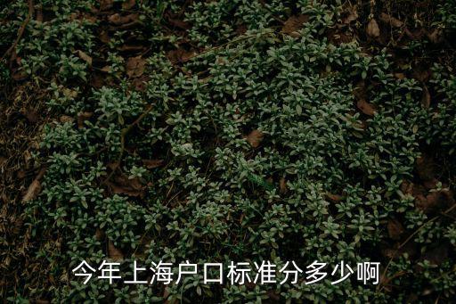 今年上海戶口標準分多少啊