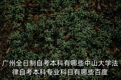 廣州全日制自考本科有哪些中山大學法律自考本科專業科目有哪些百度