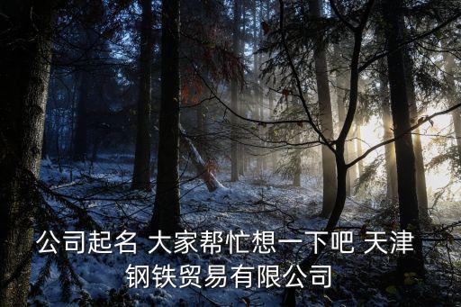 天津市德恒鋼貿有限公司，公司起名 大家幫忙想一下吧 天津 鋼鐵貿易有限公司