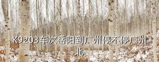 K9203車次岳陽到廣州停不停廣州北