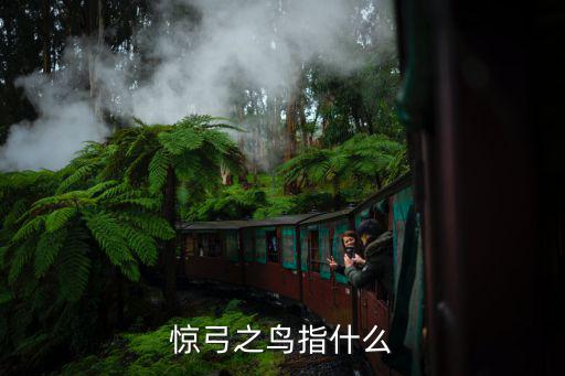 驚弓之鳥的鳥,被弓箭嚇怕了的鳥不容易安定?