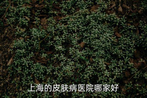 上海的皮膚病醫院哪家好