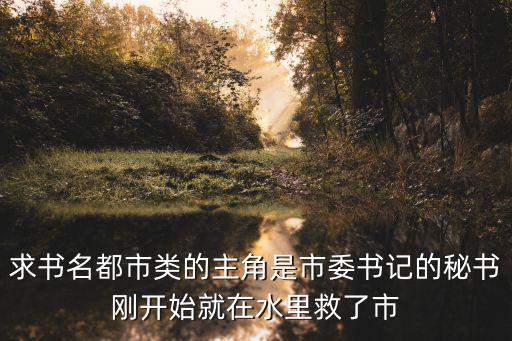 求書名都市類的主角是市委書記的秘書剛開始就在水里救了市