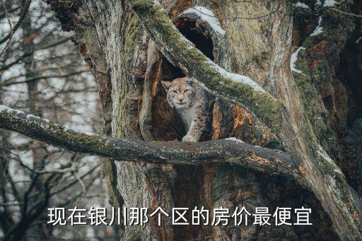 現在銀川那個區的房價最便宜