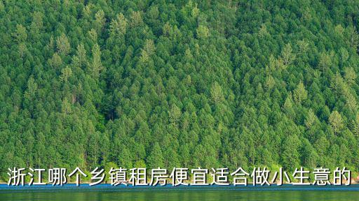 浙江哪個鄉鎮租房便宜適合做小生意的