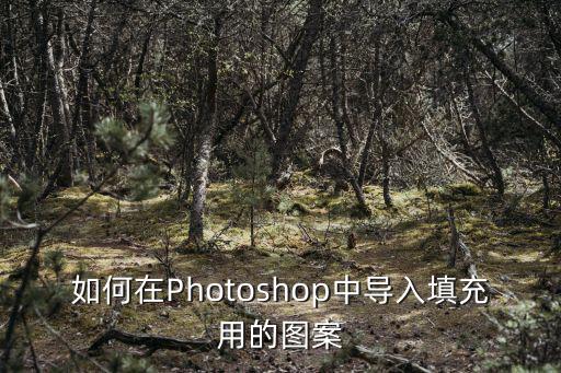 ps填充圖案,怎么在ps中導入填充用圖案?