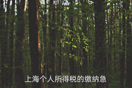 上海個人所得稅的繳納急