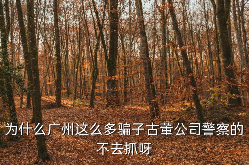為什么廣州這么多騙子古董公司警察的不去抓呀