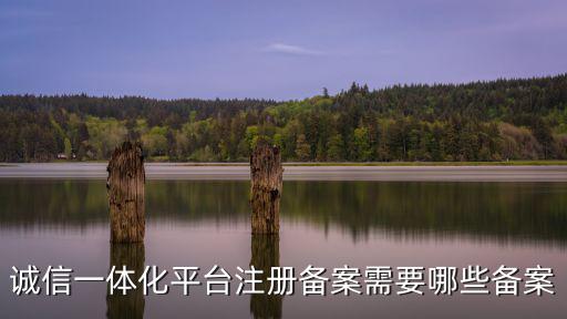 誠信一體化平臺(tái)注冊(cè)備案需要哪些備案