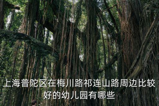 上海市祁連中心幼兒園，上海普陀區(qū)在梅川路祁連山路周邊比較好的幼兒園有哪些
