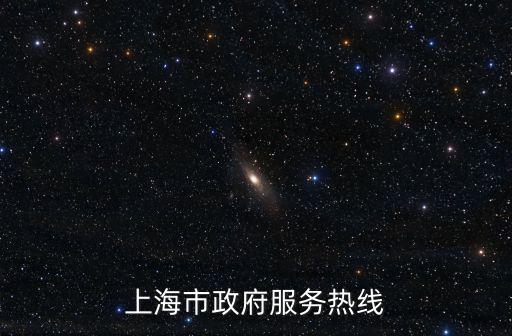 上海市政府服務熱線