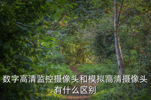 數(shù)字高清監(jiān)控攝像頭和模擬高清攝像頭有什么區(qū)別