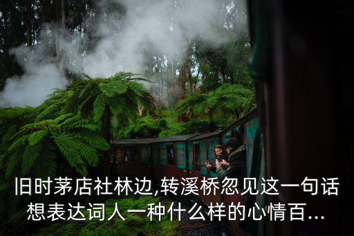 舊時茅店社林邊,第三聲茅茅店社林邊轉溪橋忽見