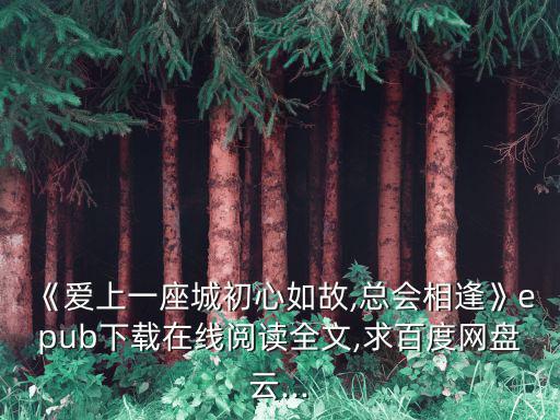 《愛上一座城初心如故,總會(huì)相逢》epub下載在線閱讀全文,求百度網(wǎng)盤云...