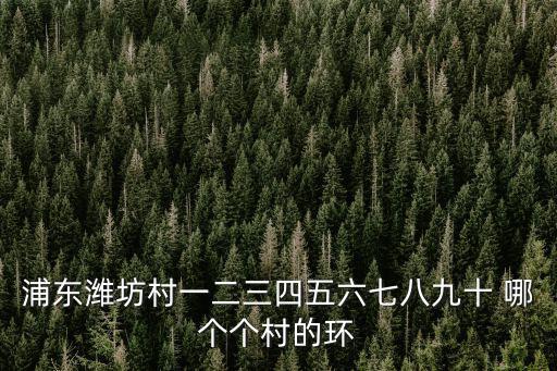 浦東濰坊村一二三四五六七八九十 哪個個村的環(huán)