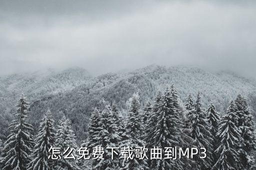 怎么免費(fèi)下載歌曲到MP3
