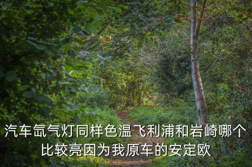 廣州巖崎電氣有限公司，廣州市電器有限公司現(xiàn)改名叫什么