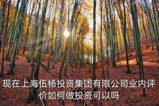 現在上海伍楊投資集團有限公司業內評價如何做投資可以嗎