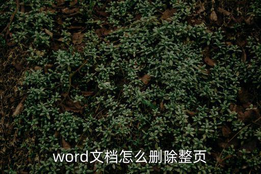 word文檔怎么刪除整頁