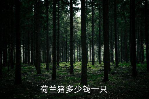 荷蘭豬多少錢一只