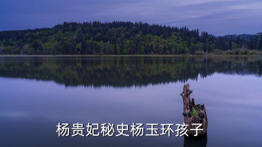 楊貴妃秘史楊玉環(huán)孩子