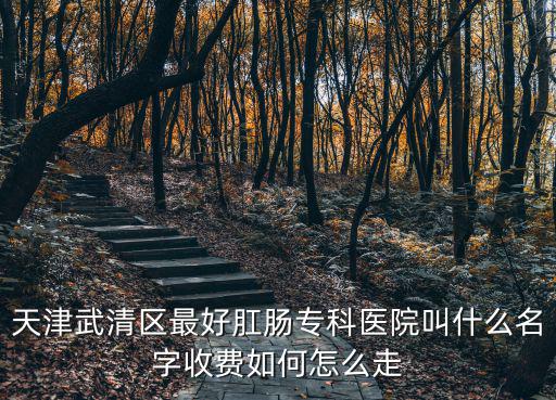 天津武清區最好肛腸?？漆t院叫什么名字收費如何怎么走