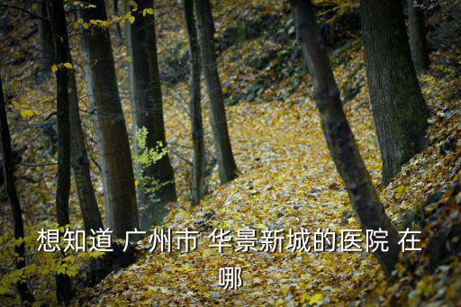 廣州華景新城有人感染病毒，想知道 廣州市 華景新城的醫院 在哪
