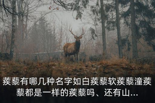 潼蒺藜,藜和藜有何差別?