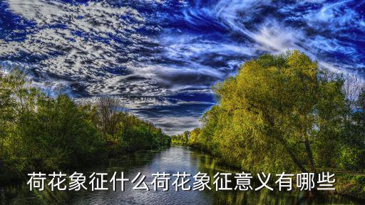 荷花象征什么荷花象征意義有哪些