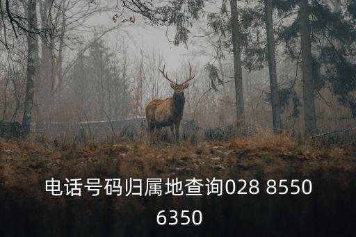電話號碼歸屬地查詢028 8550 6350
