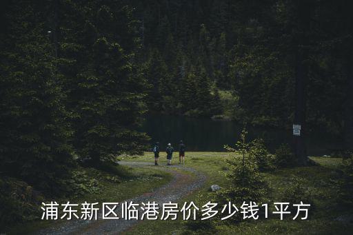 浦東新區(qū)臨港房價多少錢1平方