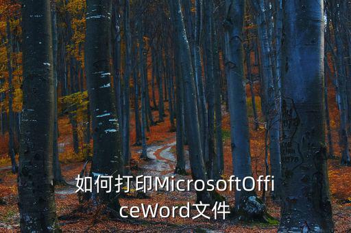 如何打印MicrosoftOfficeWord文件