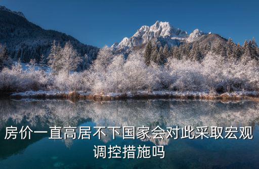 國家如何回應高房價，如何應付房價高